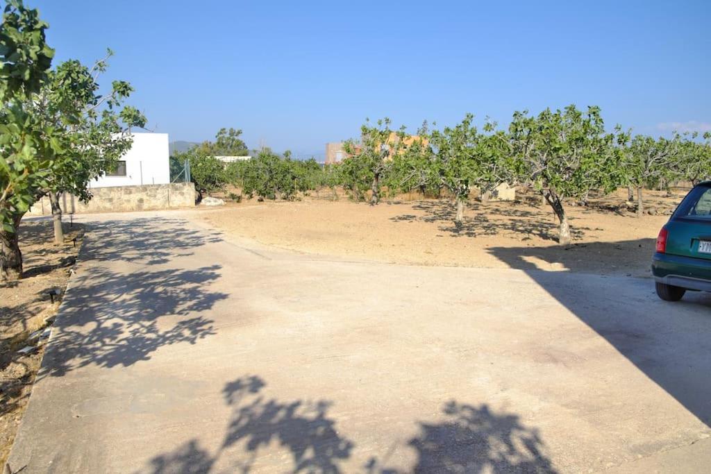 Nick'S House Villa Aegina Ngoại thất bức ảnh