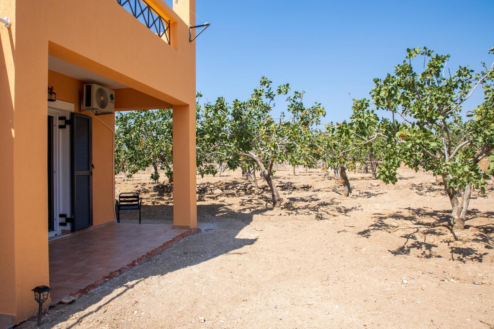 Nick'S House Villa Aegina Ngoại thất bức ảnh